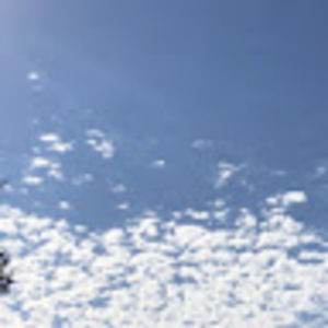 Meet your Posher, Sherry